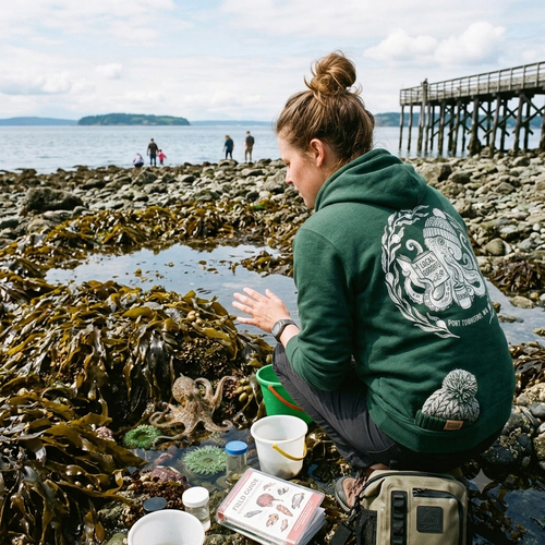Port Townsend Coastal - PNW Hoodie